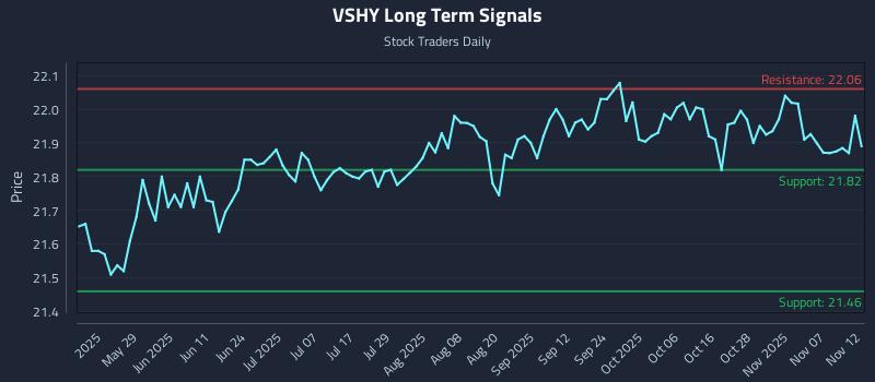 VSHY Long Term Analysis for November 12 2025