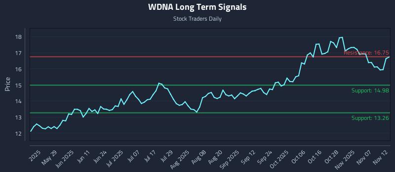 WDNA Long Term Analysis for November 12 2025