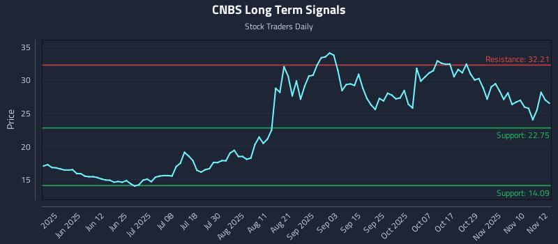 CNBS Long Term Analysis for November 13 2025