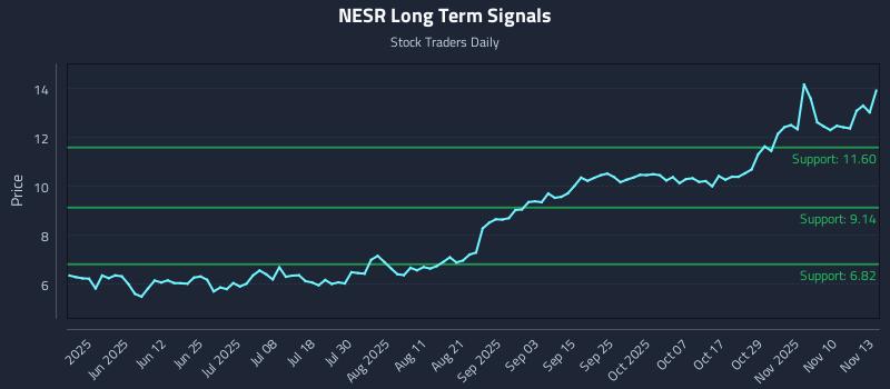NESR Long Term Analysis for November 13 2025