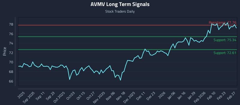 AVMV Long Term Analysis for March 1 2026 AVMV Long Term Analysis for March 1 2026