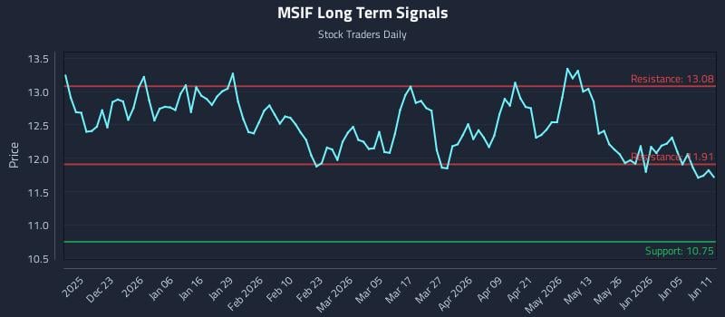MSIF Long Term Analysis for June 11 2026 MSIF Long Term Analysis for June 11 2026