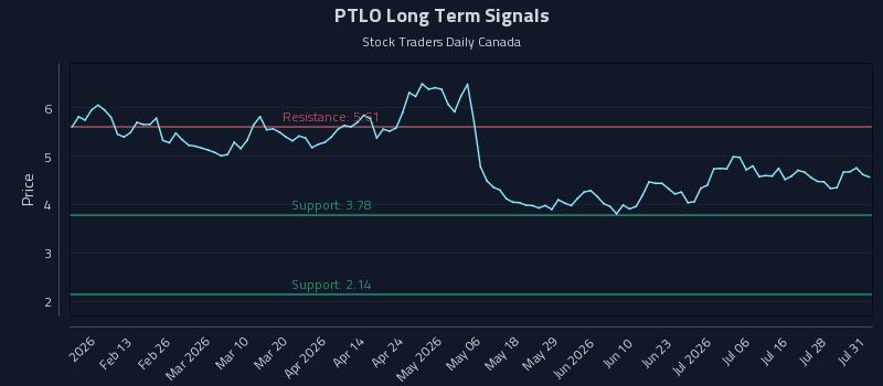 PTLO Long Term Analysis for August 2 2026 PTLO Long Term Analysis for August 2 2026